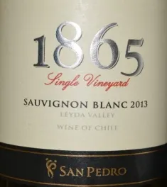 2013 Vina San Pedro 1865 Single Vineyard Sauvignon Blanc