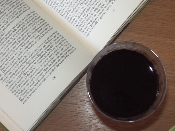 5 Must Read Books About Wine
