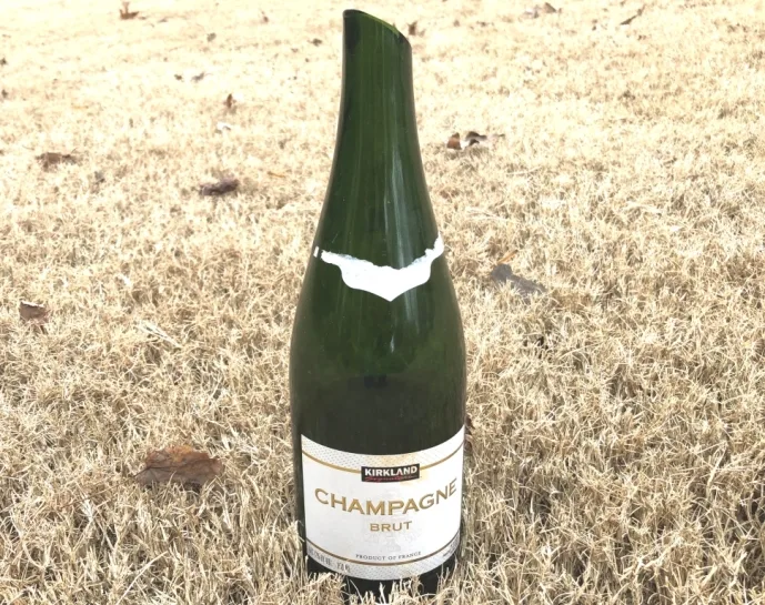 The Fizzy Joy of Cheap Costco Champagne