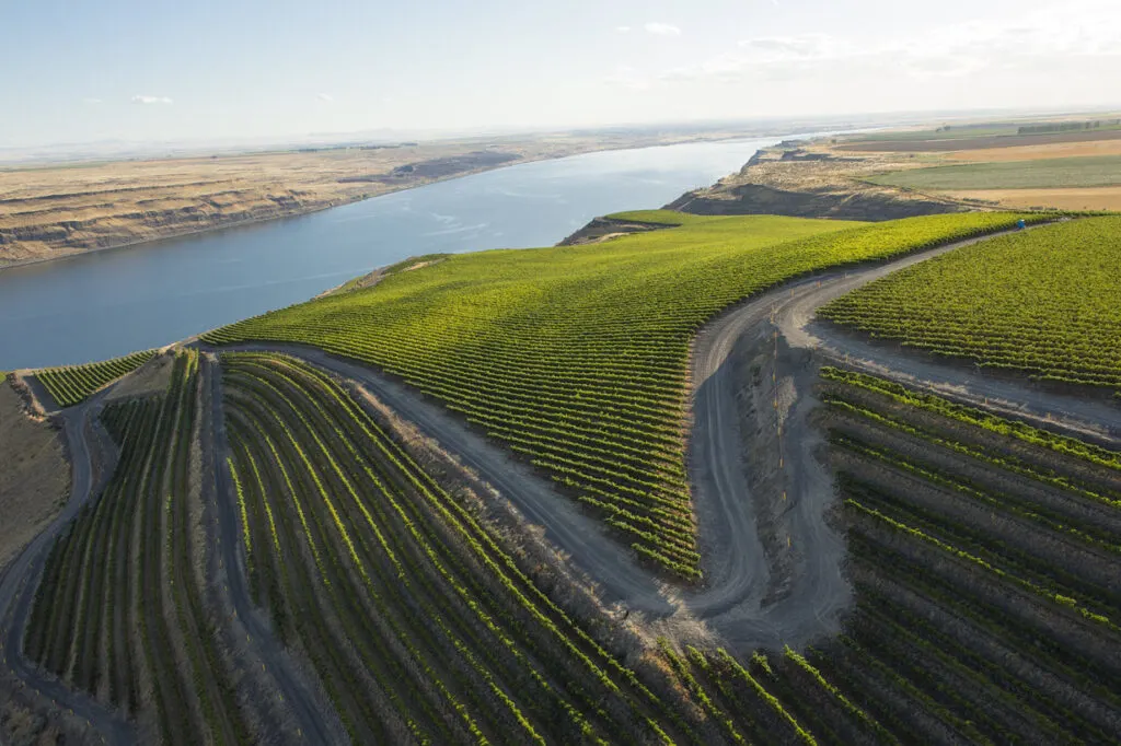 Benches Vineyard